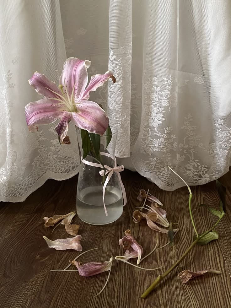 𝑂𝑟𝑎𝑐𝑙𝑒 𝑜𝑓 𝐷𝑒𝑙𝑓𝑜𝑠 tweet media