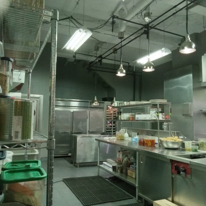 Benny the cat tweet media