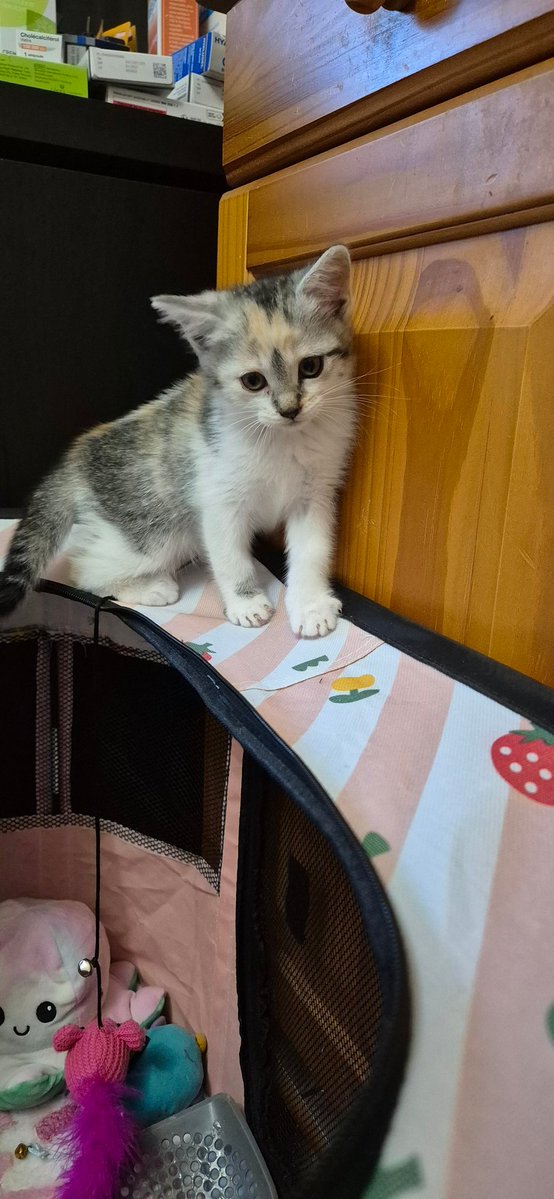 Cass ♡ tweet media