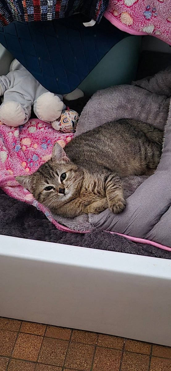 Cass ♡ tweet media