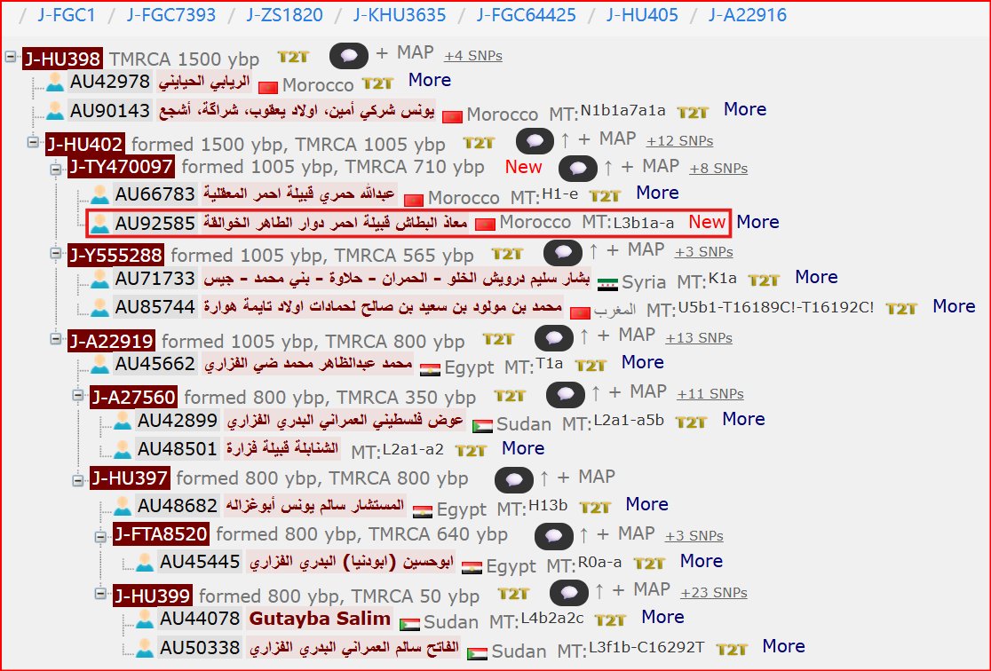 يطيب لي الإعلان عن نتيجة هول جينوم للسيد معاذ البطاش (YSEQ71659) من دوار الطاهر الخوالقة قبيلة أحمر المغربية (🇲🇦). جاءت النتيجة موجبة لتحور قبيلة أحمر (J1‑TY470097) متكتلة مع عينة عبدالله حمري، تحت التحور الفزاري (J1‑FGC64425)، وحسب التسلسل التالي:
J1‑FGC1 > J1‑FGC7393 >