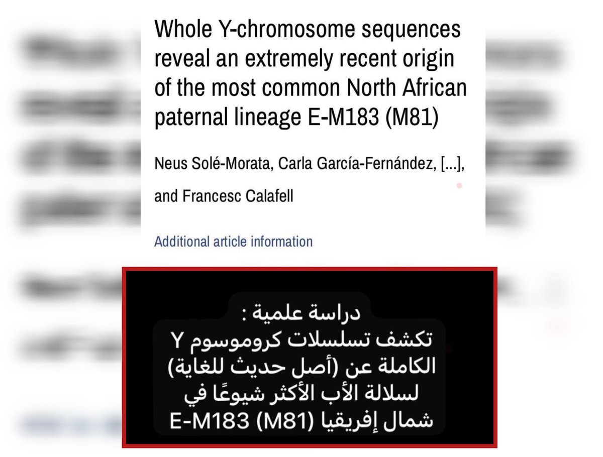 🦅A-SFE | العُــــقَـــاب 🇱🇾 tweet media