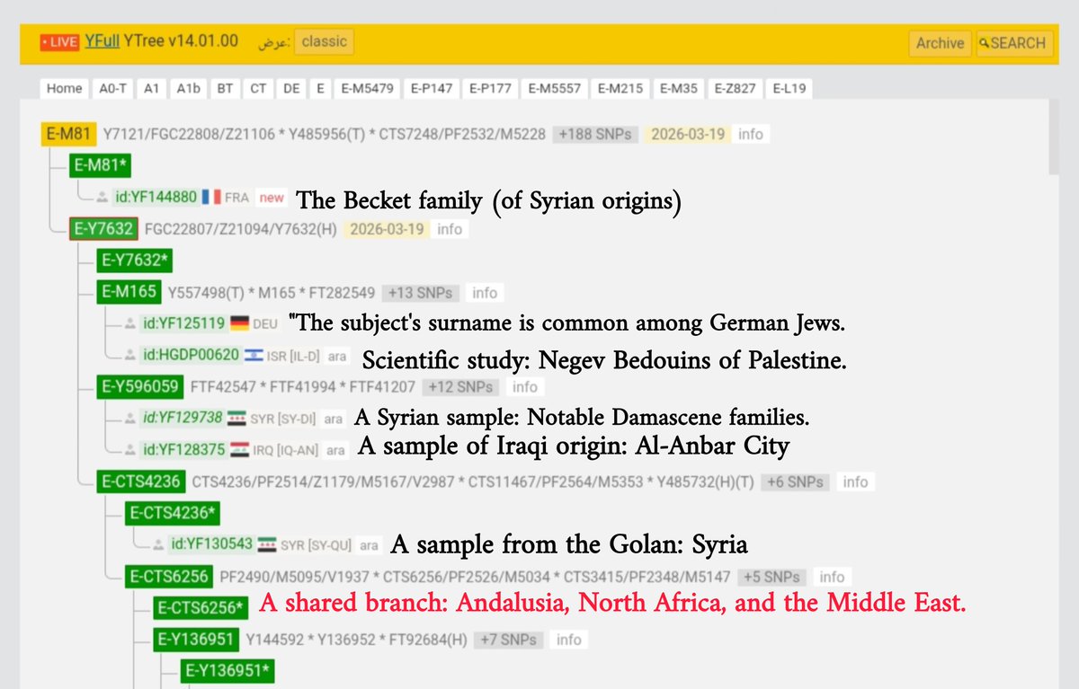 🦅A-SFE | العُــــقَـــاب 🇱🇾 tweet media