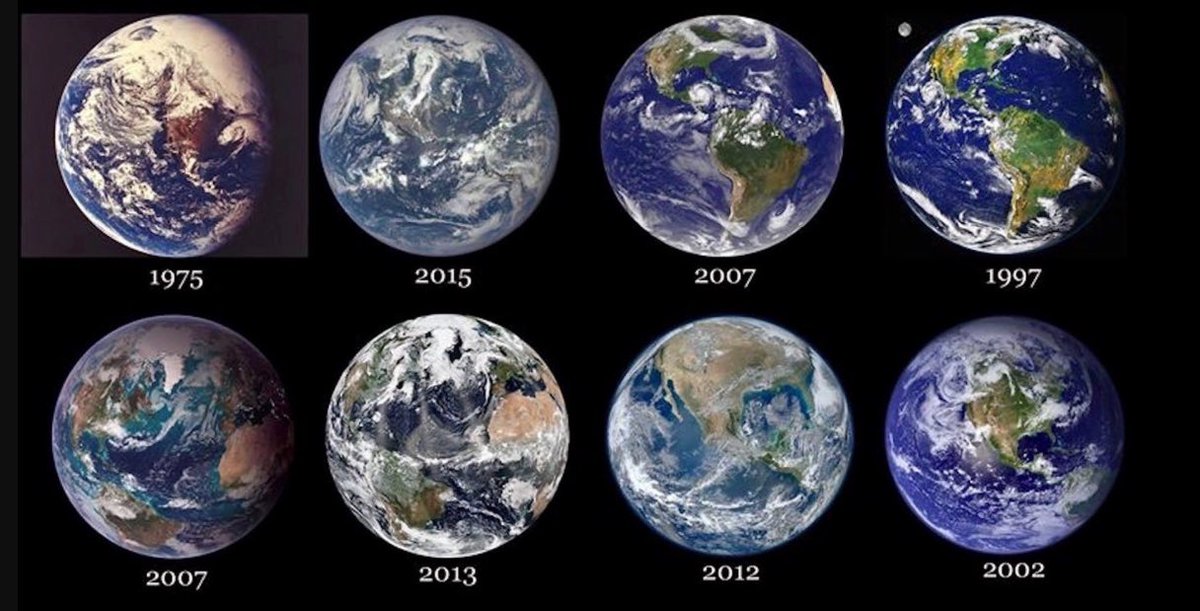 Concerned Citizen tweet media