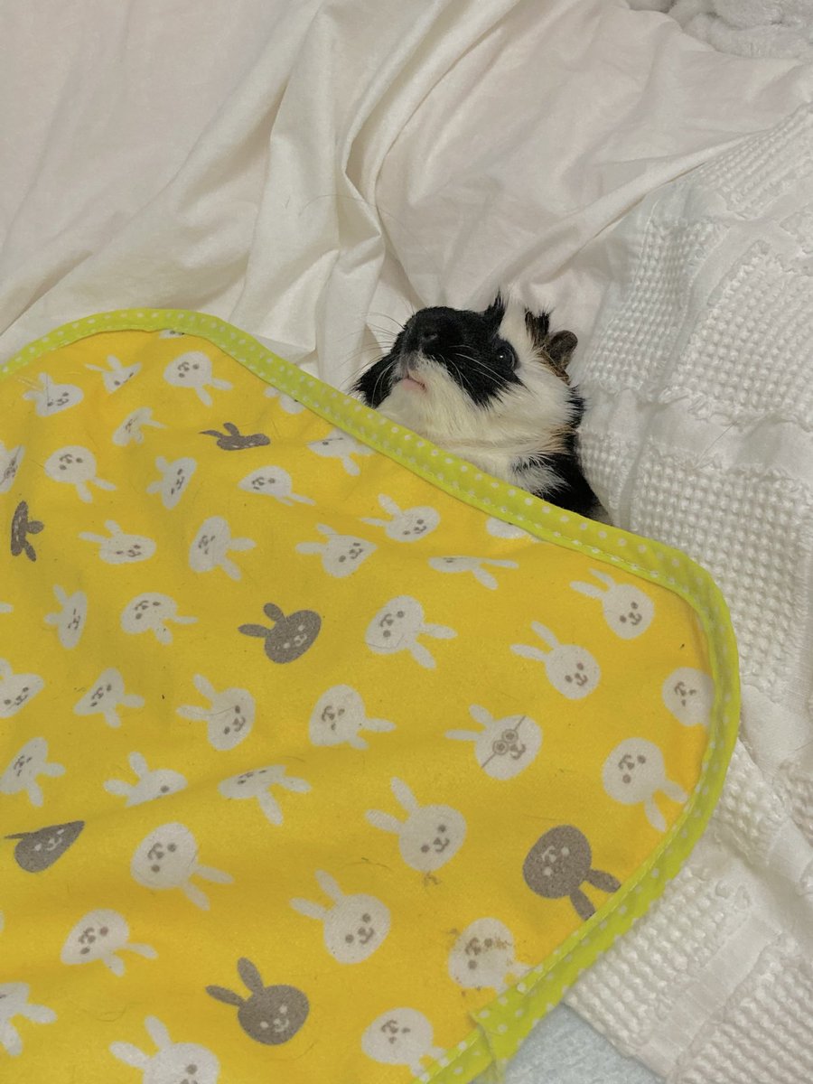 yuki²⛄ tweet media