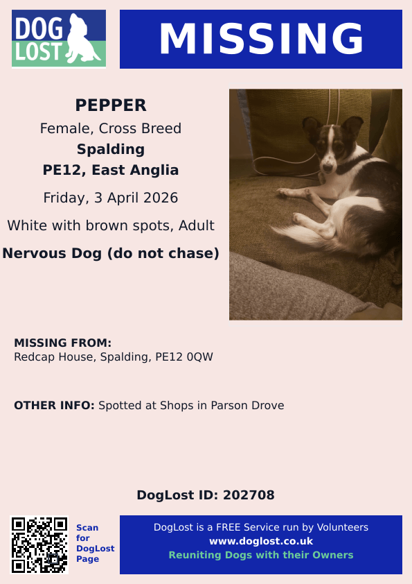 chris towers tweet media