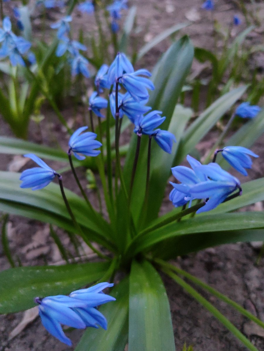 Наталина Талина tweet media