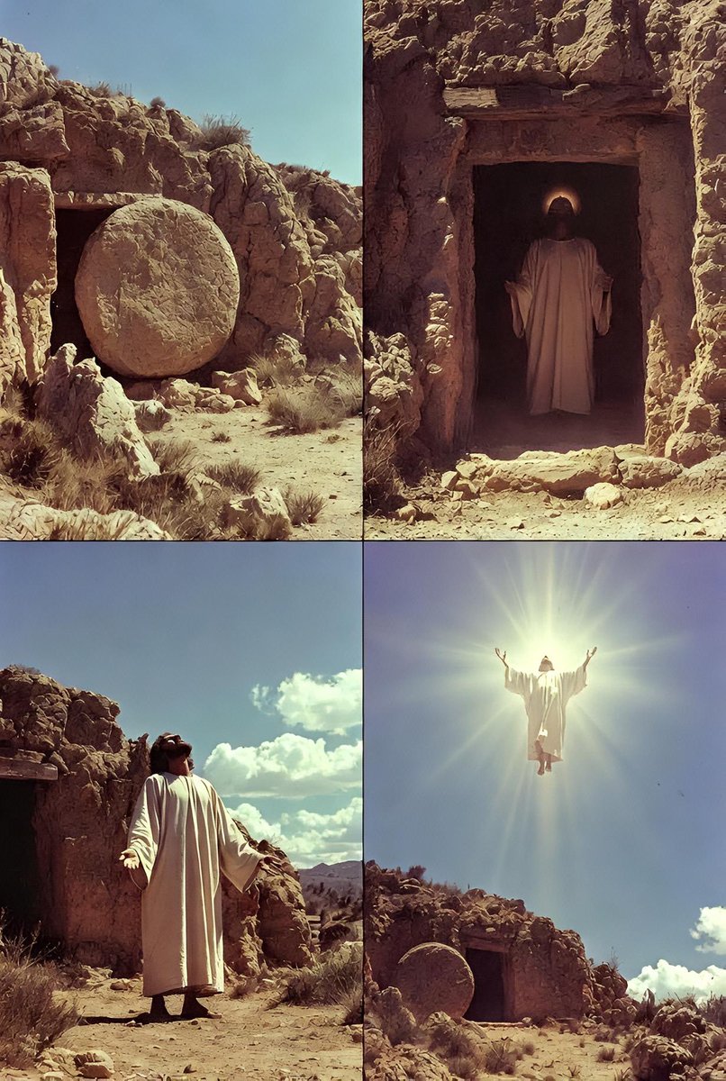 LuJun Quan tweet media