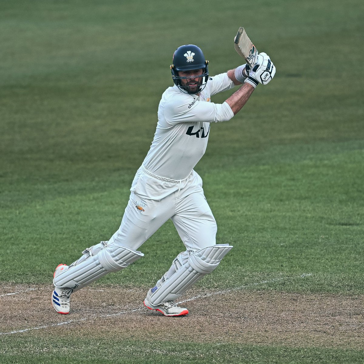 Surrey Cricket tweet media