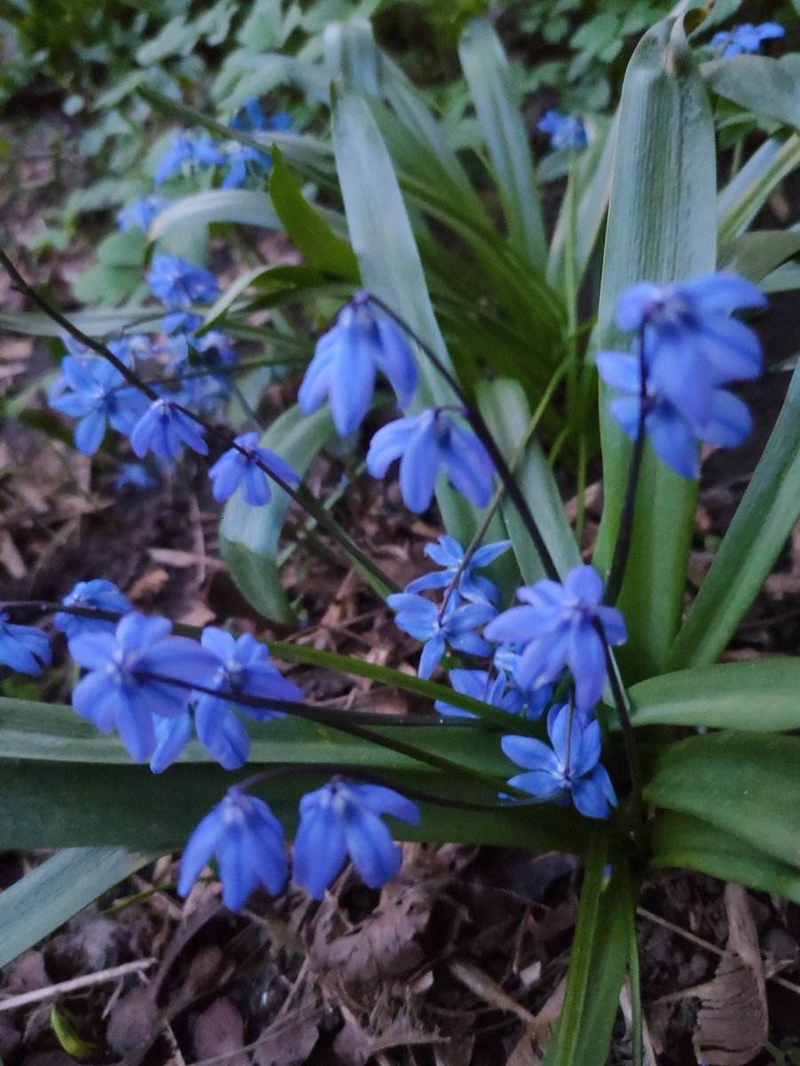 Наталина Талина tweet media