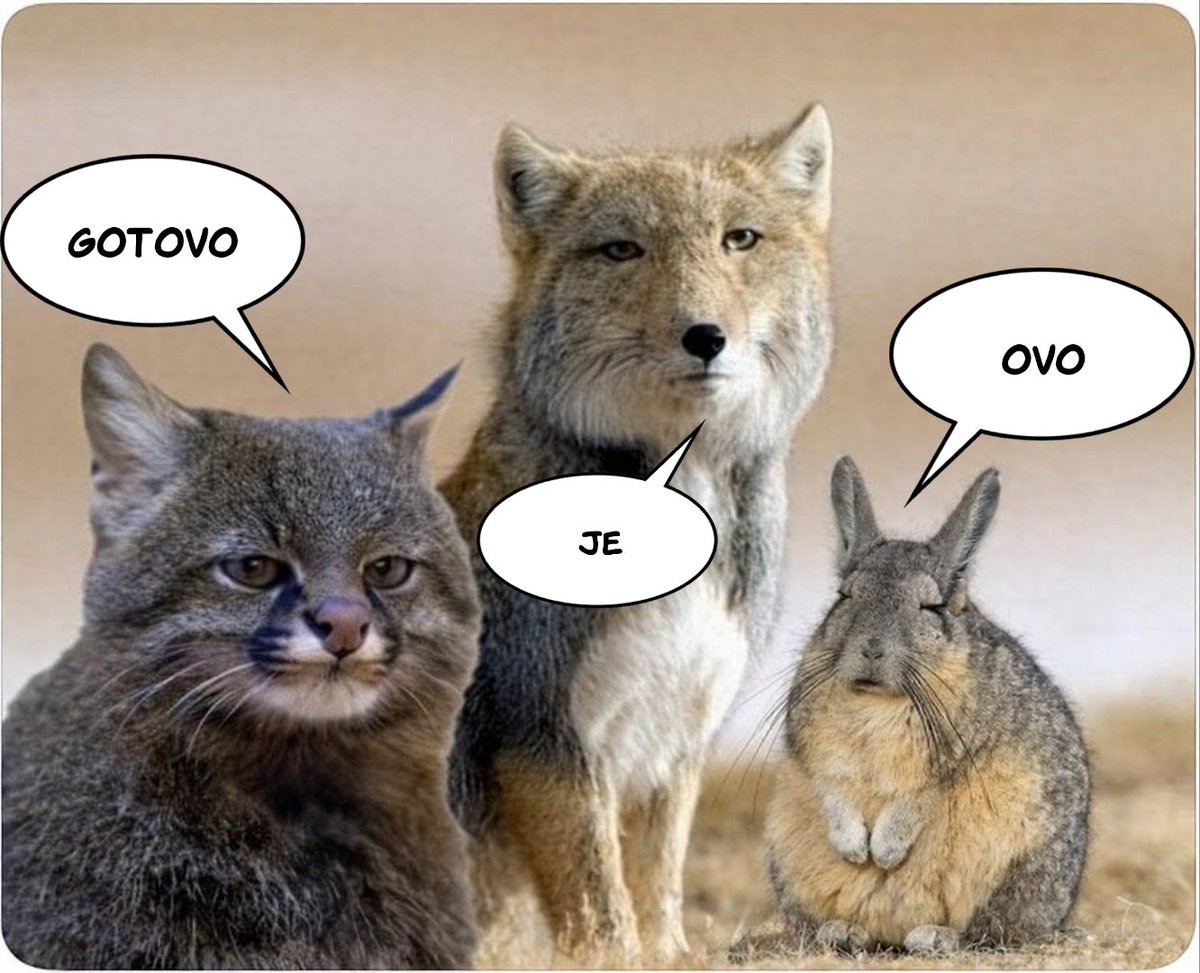 丂卂ㄥㄥ乇 tweet media