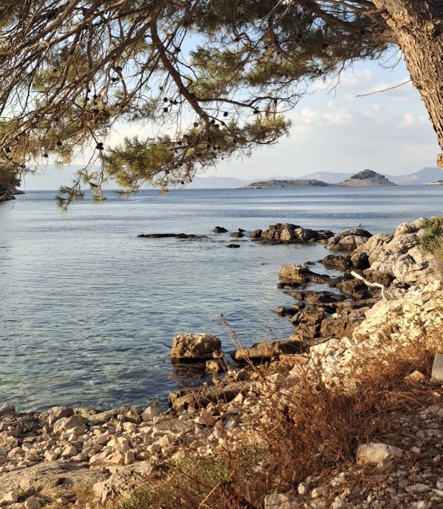 Éponine⁴ ⁴³ tweet media