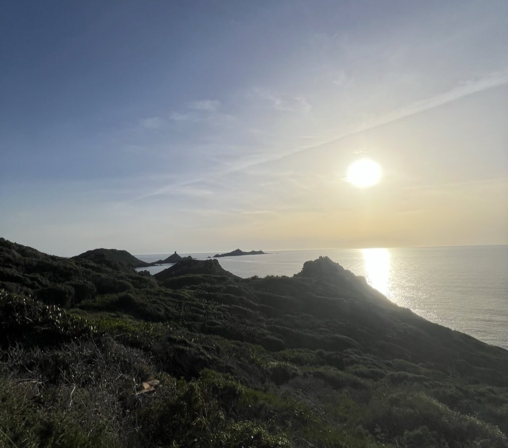 Éponine⁴ ⁴³ tweet media