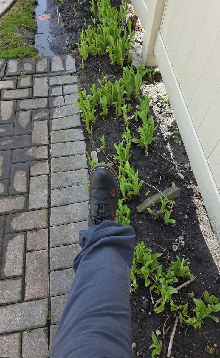 Tam_Butterfly's tweet photo. #Aprilthings #boots 🌹 https://t.co/MYH8MAprKj