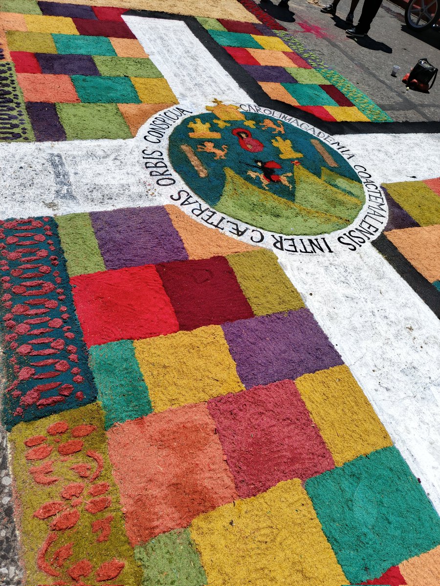 Vivíbora 🐍 tweet media