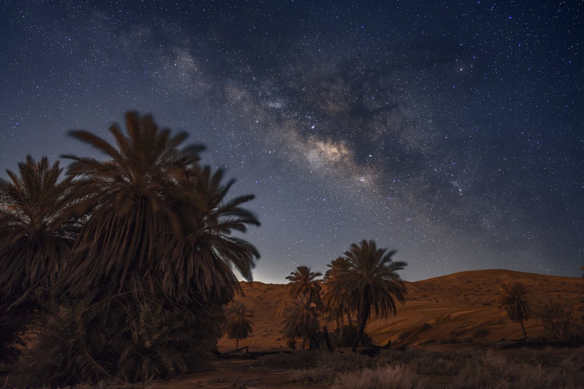 محمد|Mohammed 🌴🌴 tweet media