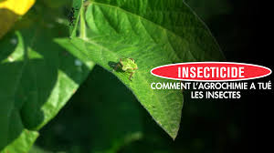 Watt The Duck tweet media