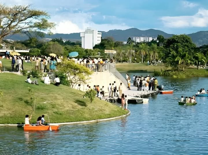 ♡ 𝑷𝒂𝒐𝒍𝒂 𝑪𝒂𝒔𝒕𝒓𝒐 • tweet media