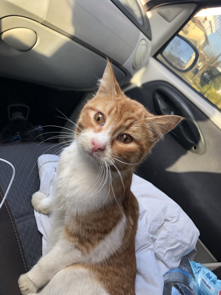 ponçik-pırtık-chucky the muhteşem üçlü tweet media