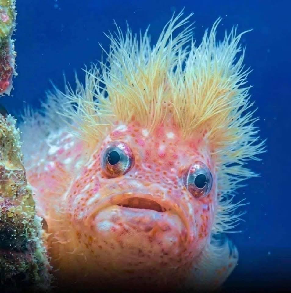 Bayrak Medya tweet media