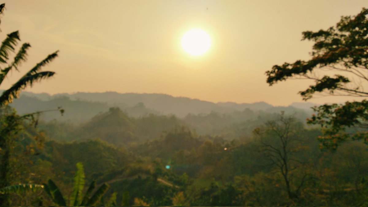 P⁷⊙⊝⊜🪭 tweet media