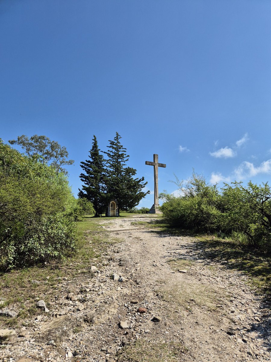 Facundo Galván 🗳 tweet media