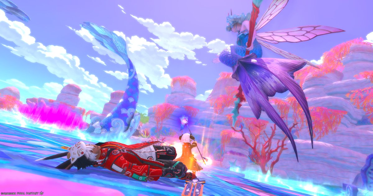 白福かぷぅ☆ tweet media