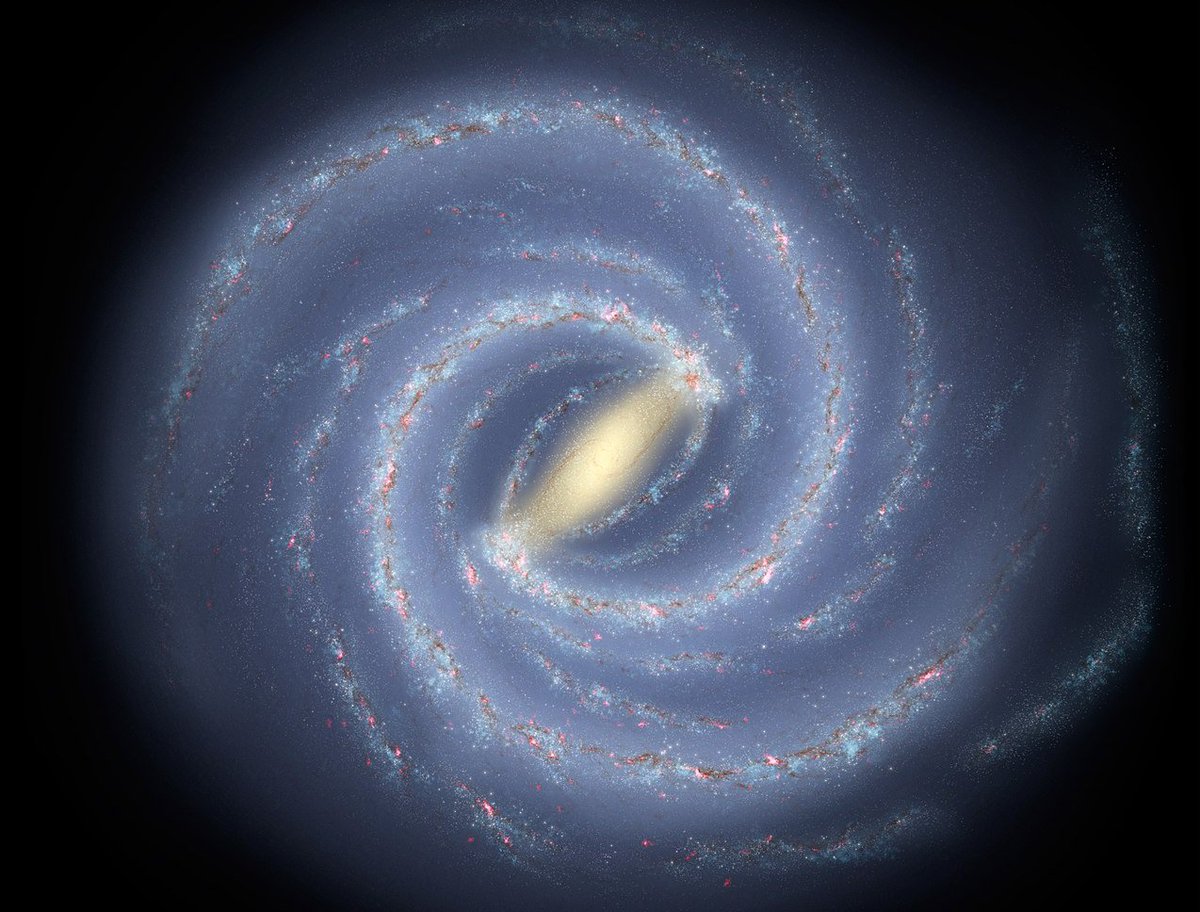 Al Dragon tweet media