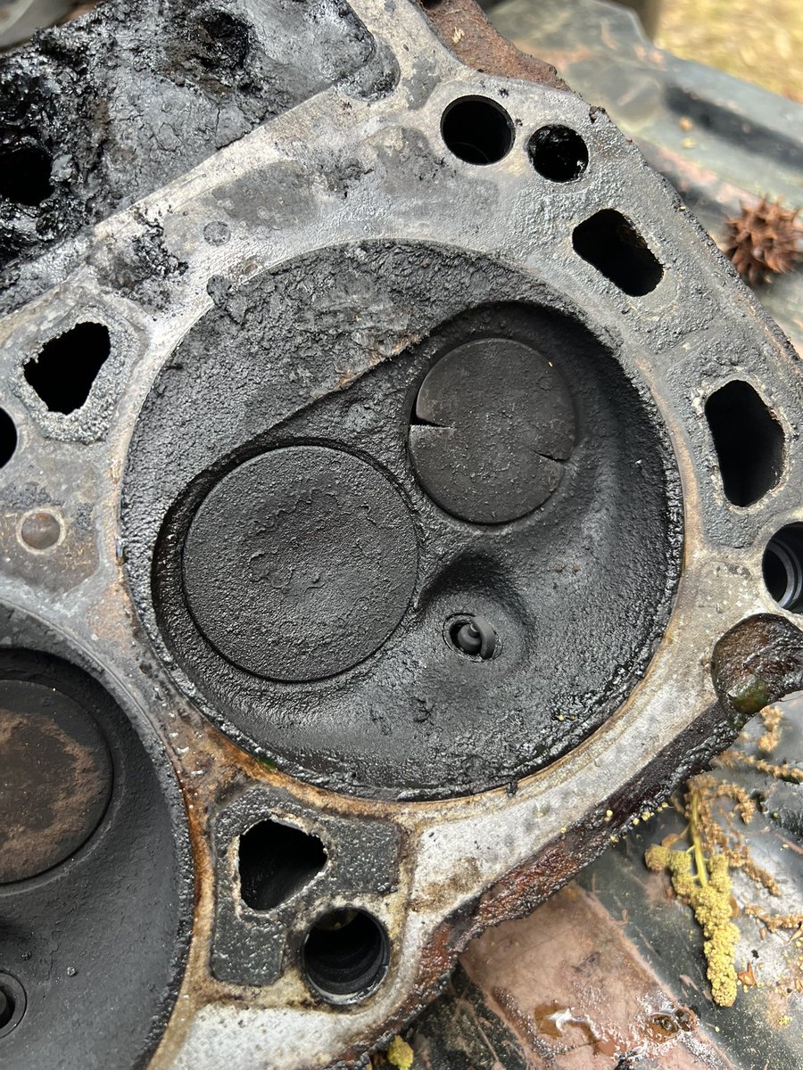 ham mike tweet media