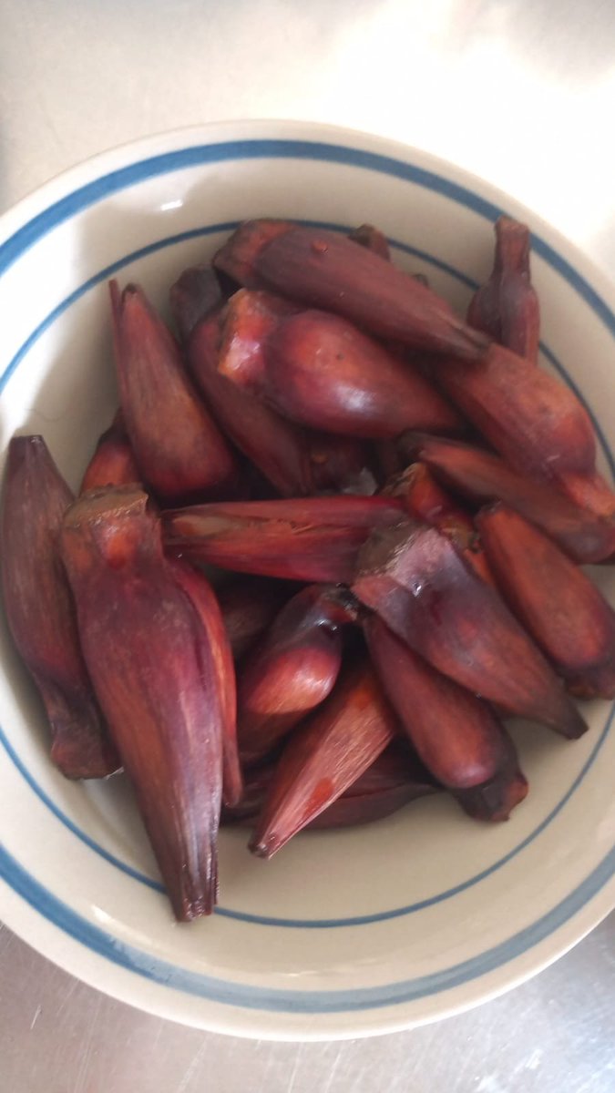 Chico Bento do Sul tweet media