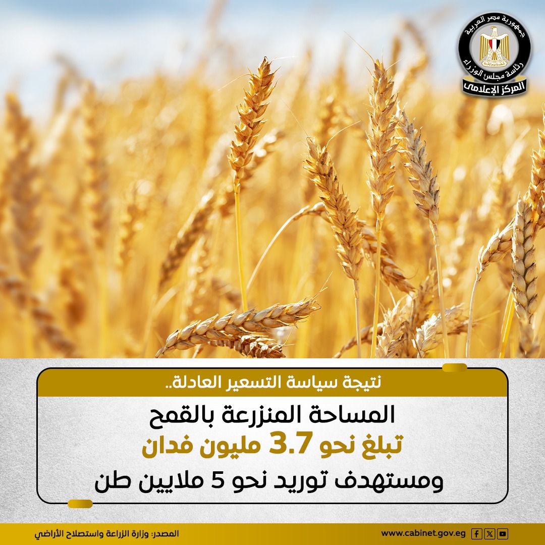 ONtvLIVE tweet media