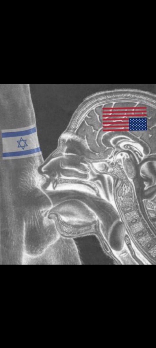 Chelihawk tweet media