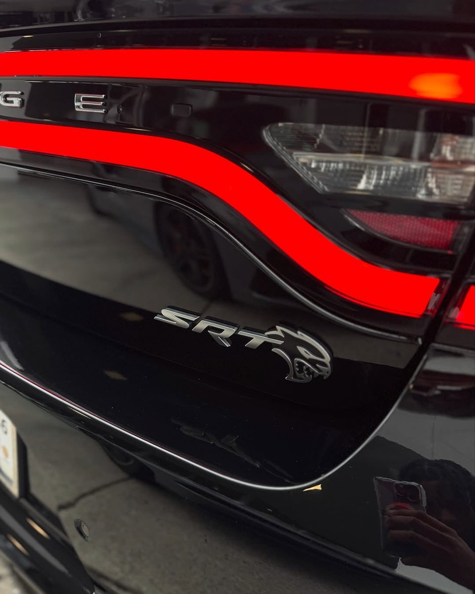 Hoochié Captain Official✨Squirtle💦 tweet media