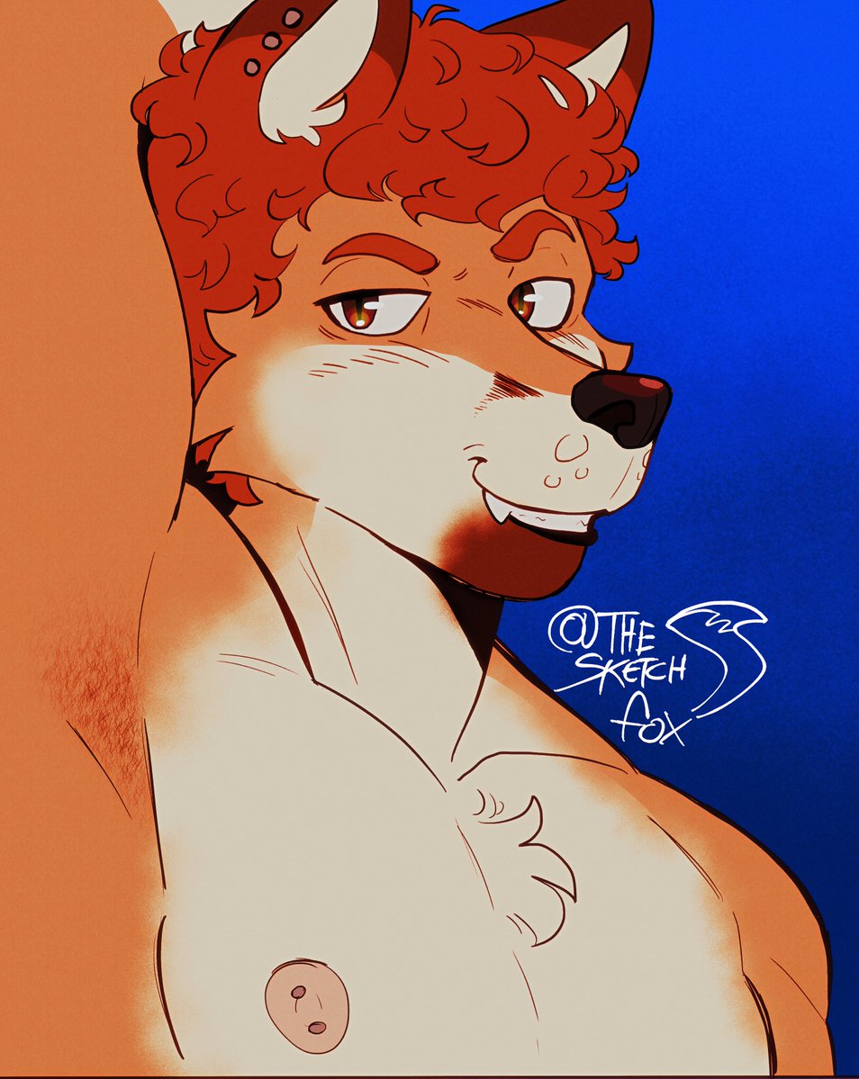 ⭐️Fern⭐️commissions full (comms open) tweet media