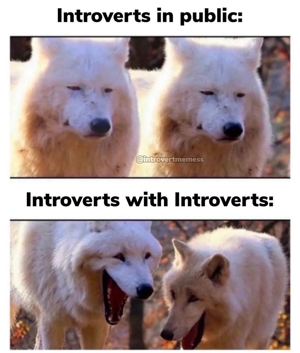 All About Introverts tweet media