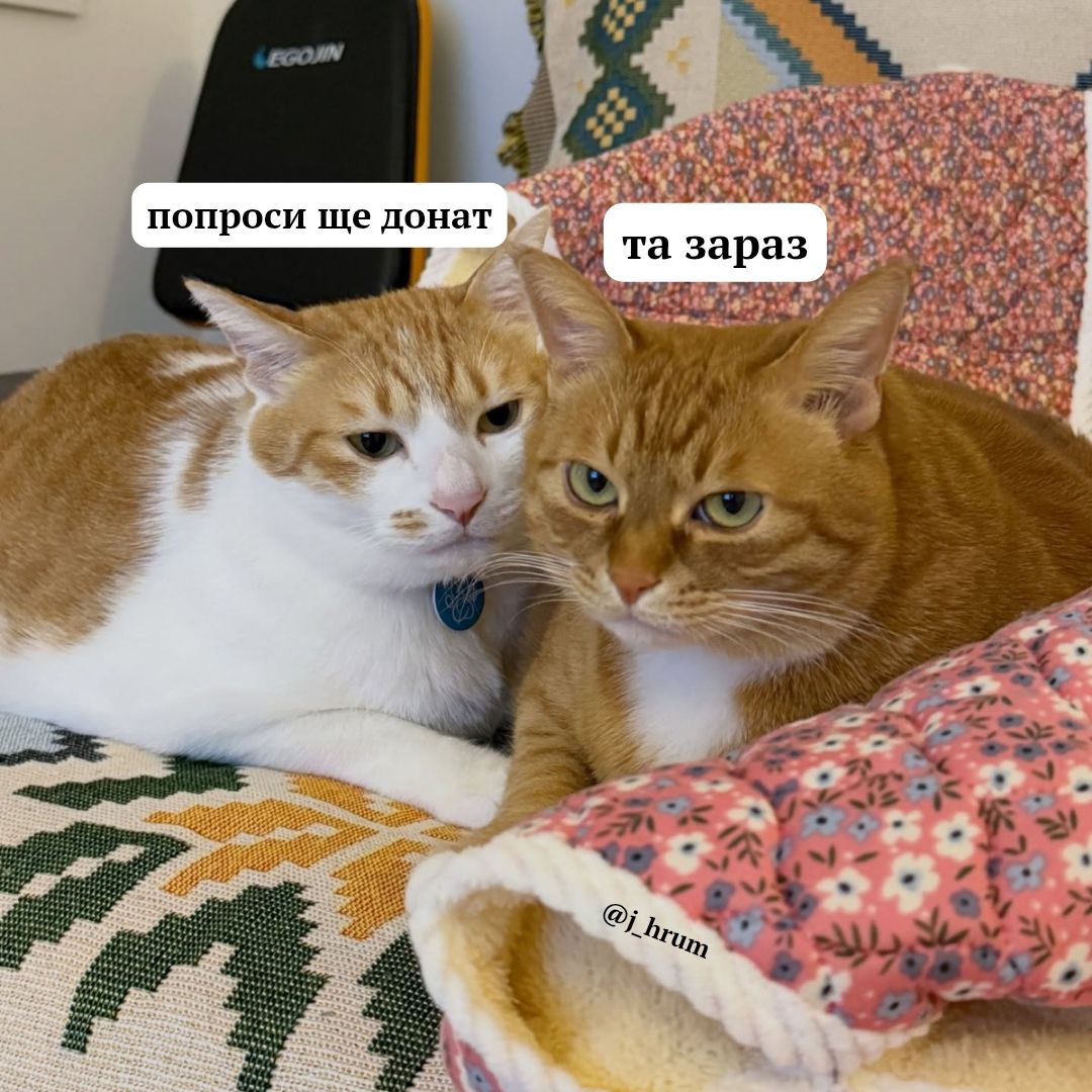 хмарка ☁️ tweet media