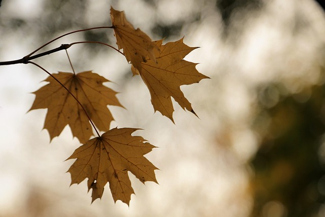 Darren Zueger tweet media