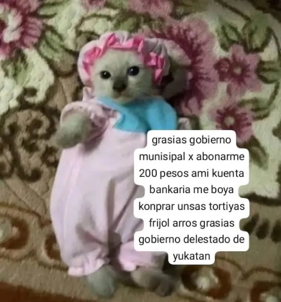 ඞ. Leon Jubilado Kennedy .ඞ 🔫 tweet media