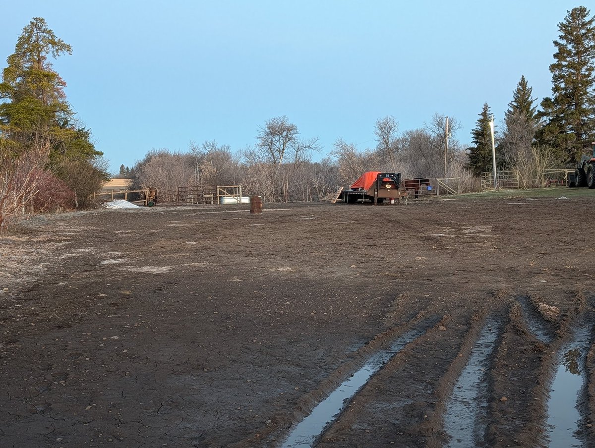 Sheldon grieve tweet media