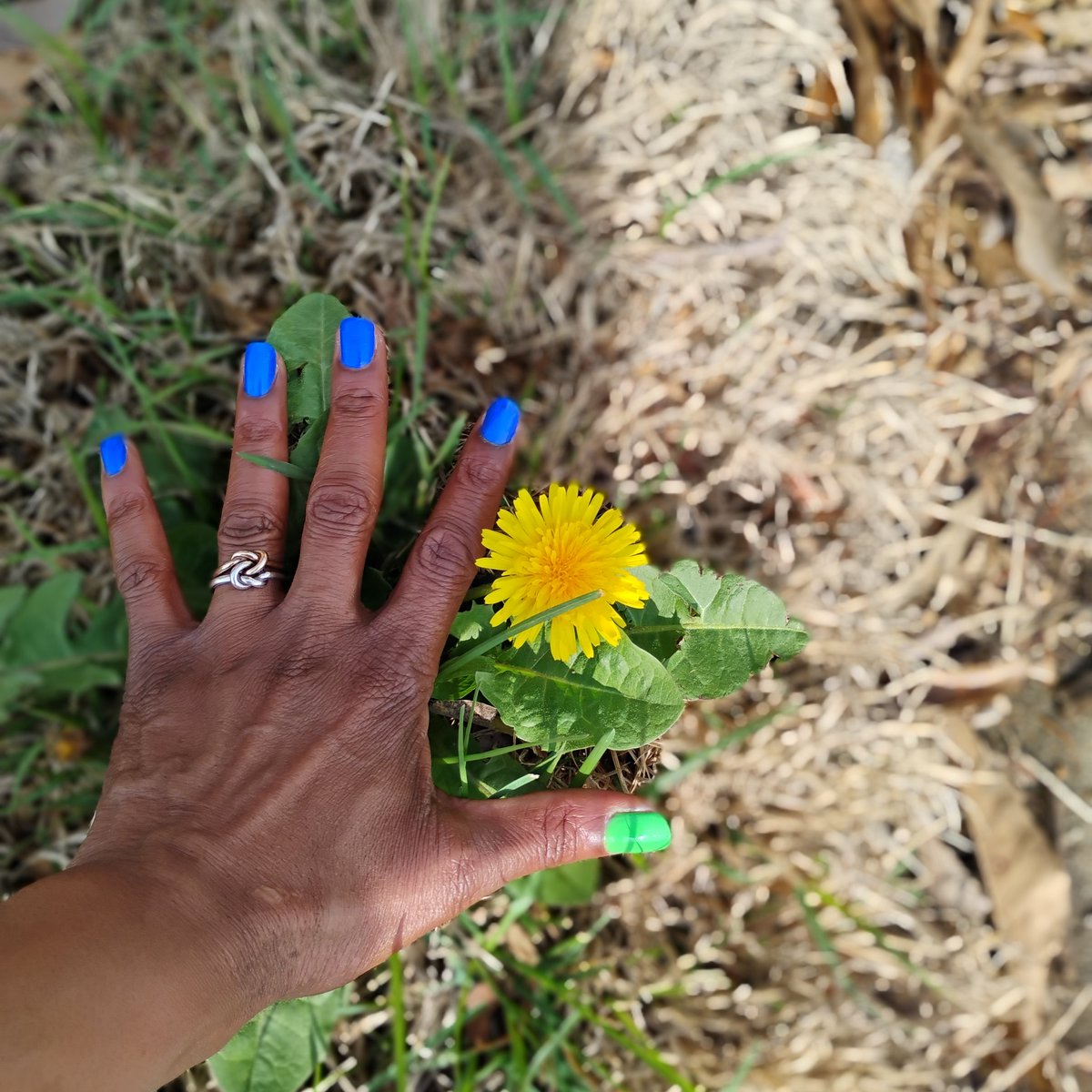 IAMJamena's tweet photo. #Friday  ☀️ 🌿🏵️🍀🌿  
#April 3, 2026🫳🏾✨🌼🌼🌼✨🌿✨

#Jamena🍀💫
Just Strolling . .INstead of Scrolling😘📴

☀️🏡🌼🍃 #SPRINGinMyStep 🍃🚶🏾‍♀️👣🍀 https://t.co/K19io74Y4V