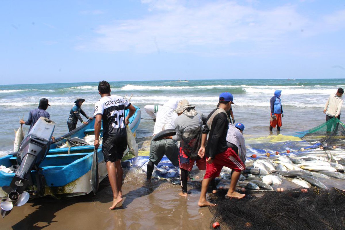 SEMARNAT México tweet media