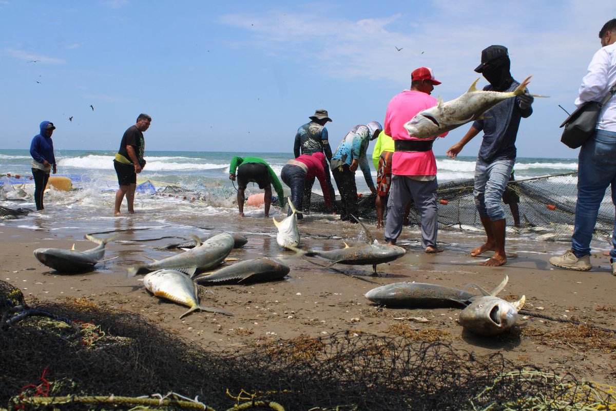 SEMARNAT México tweet media