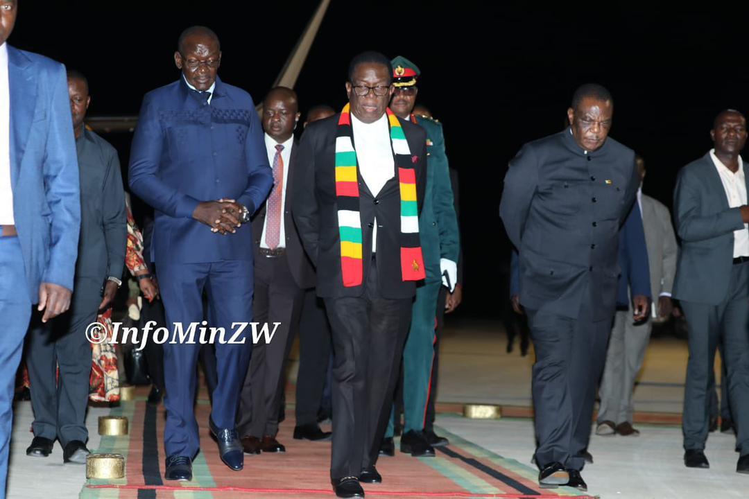 Herbert Mate tweet media