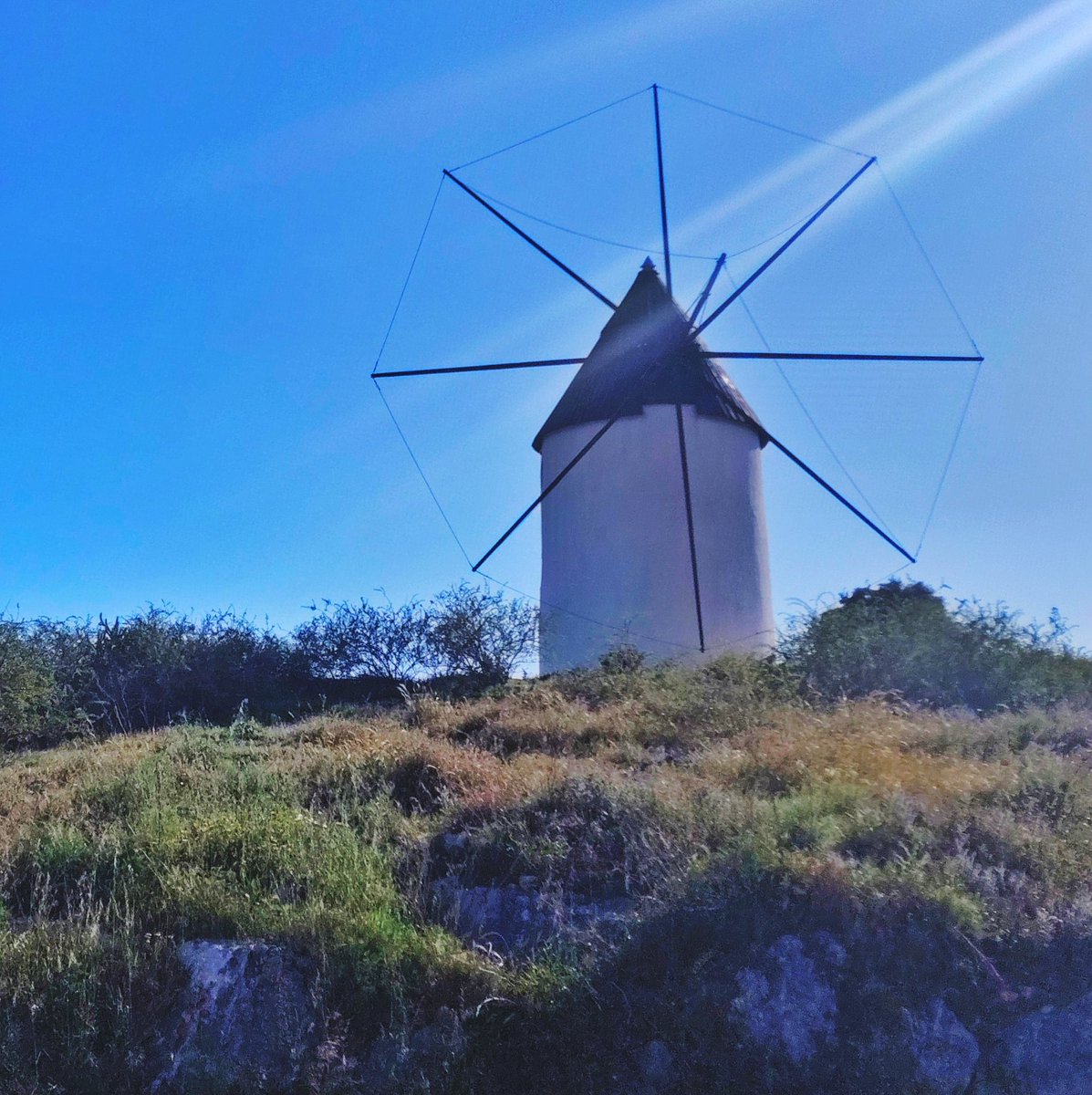 Nuestro Mar Menor tweet media