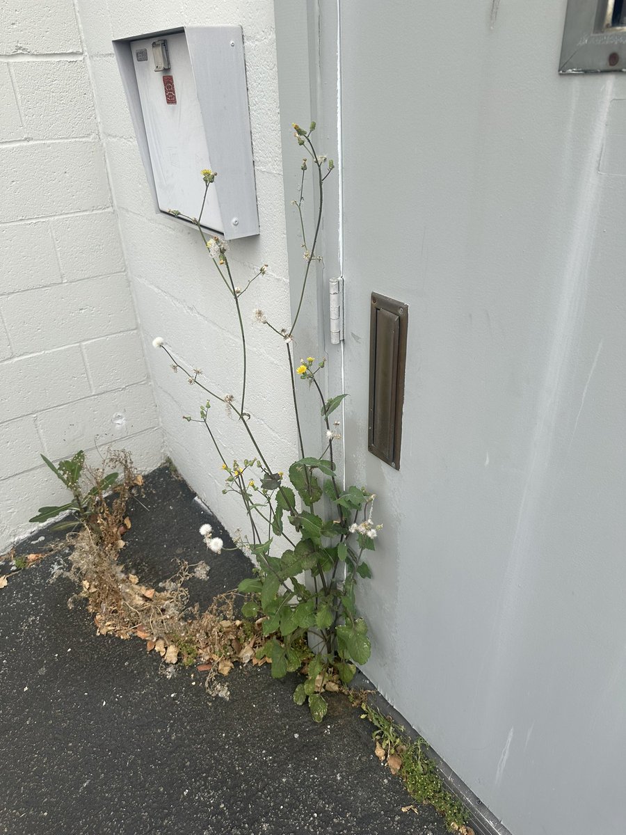 Back 2 Back World Series Champion: Matt Jeezy tweet media