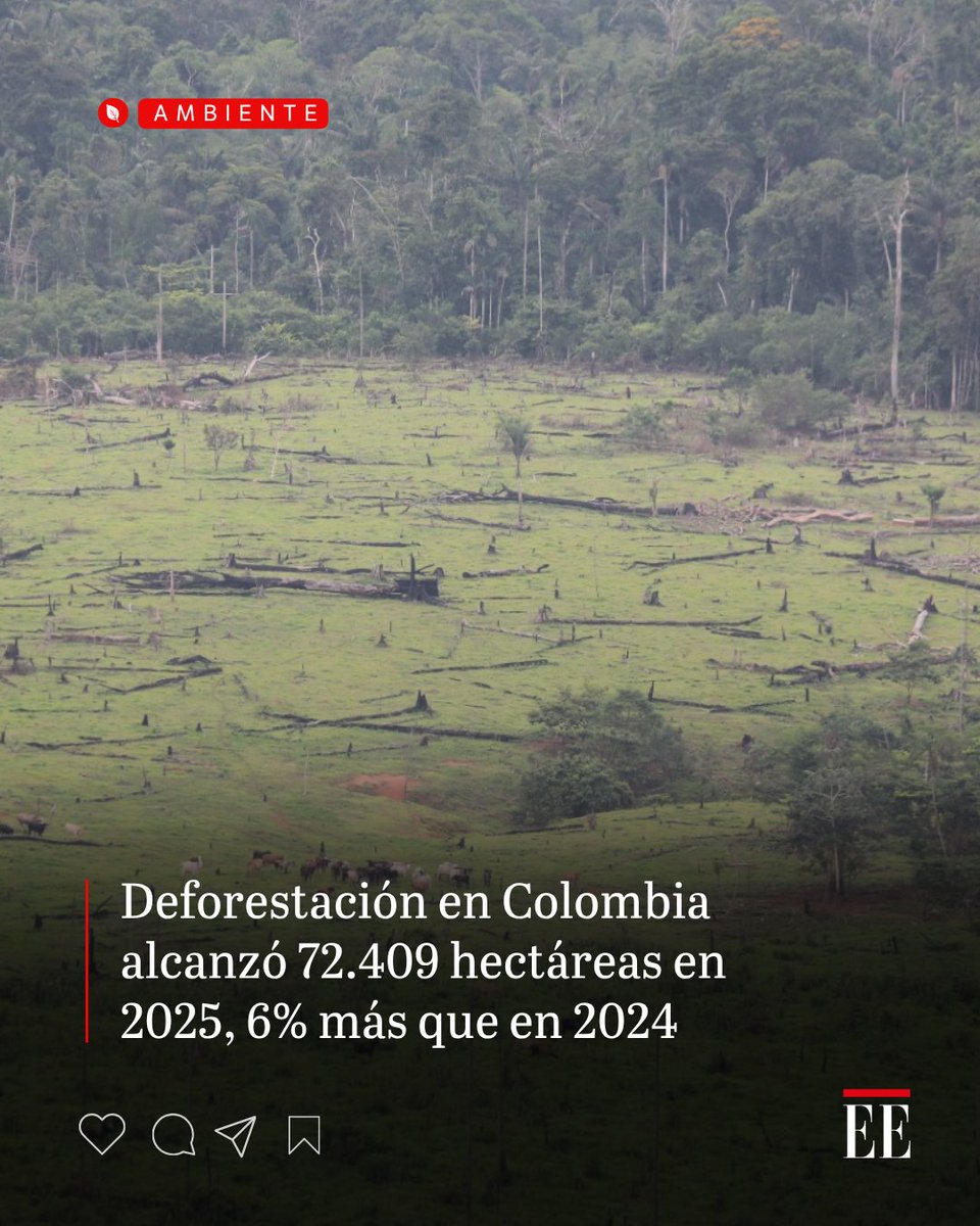 El Espectador tweet media