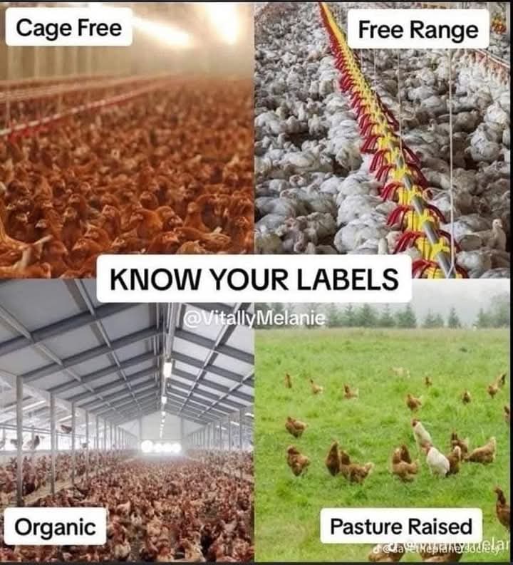 Philly Anthony tweet media