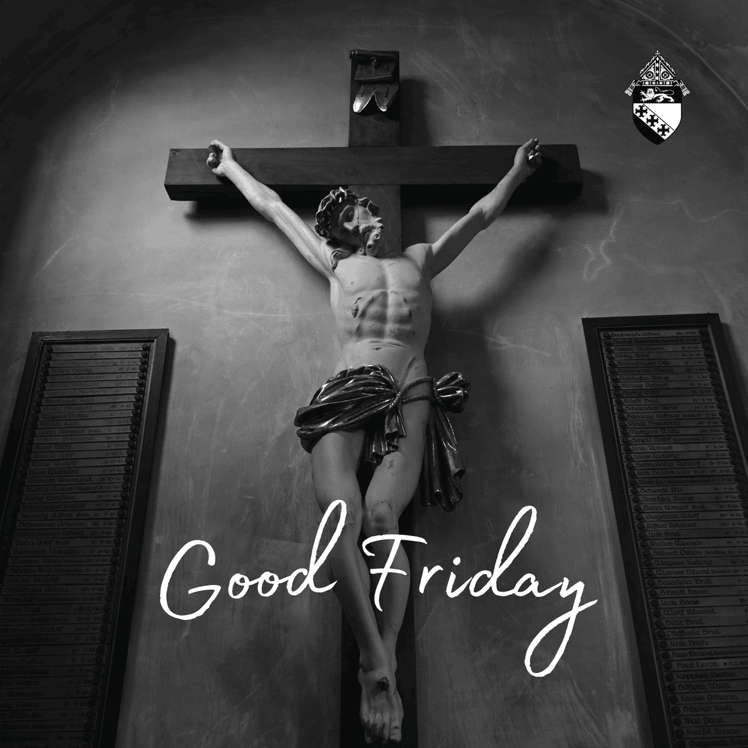 Diocese of Charleston tweet media