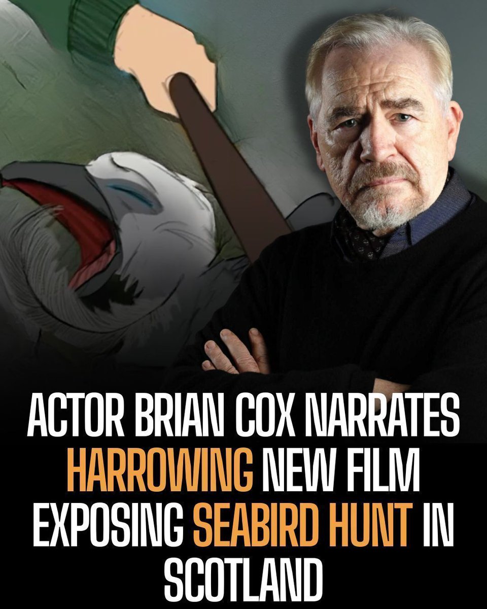 Protect the Wild tweet media