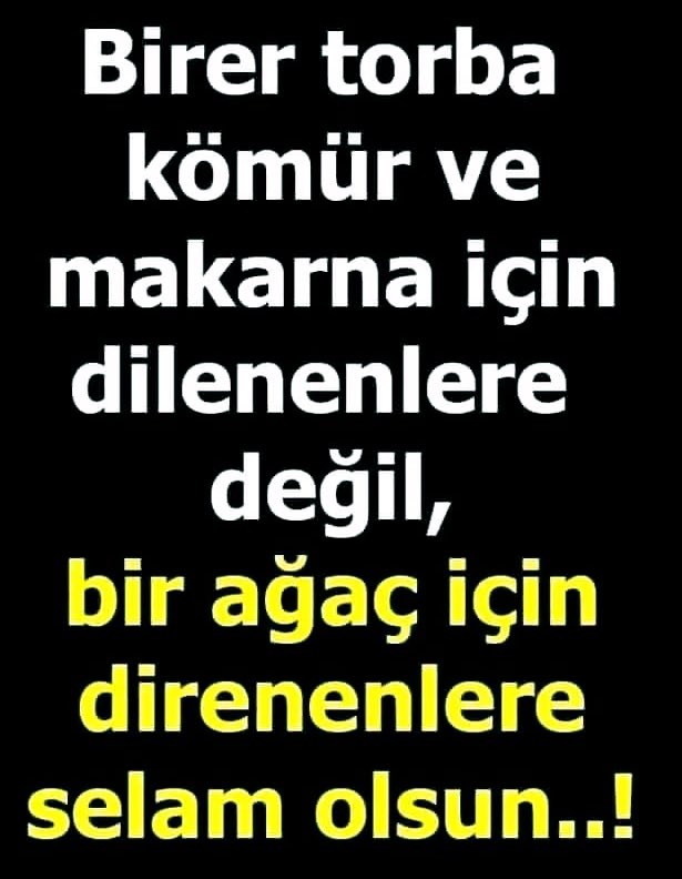 Akbelen’de yaşamı savunanların, ormanına, suyuna, geleceğine sahip çıkanların sesidir. 

Esra Işık

Haklıyız, meşruyuz, vazgeçmeyeceğiz.
#AkbelenOrmanı #EsraIşıkYalnızDeğildir